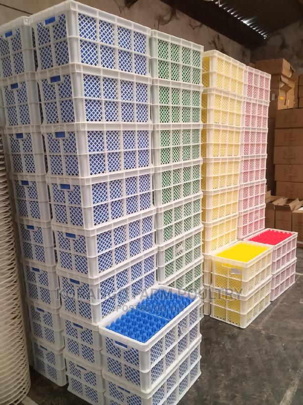 Eggs Transport Tray - thumbnail 2