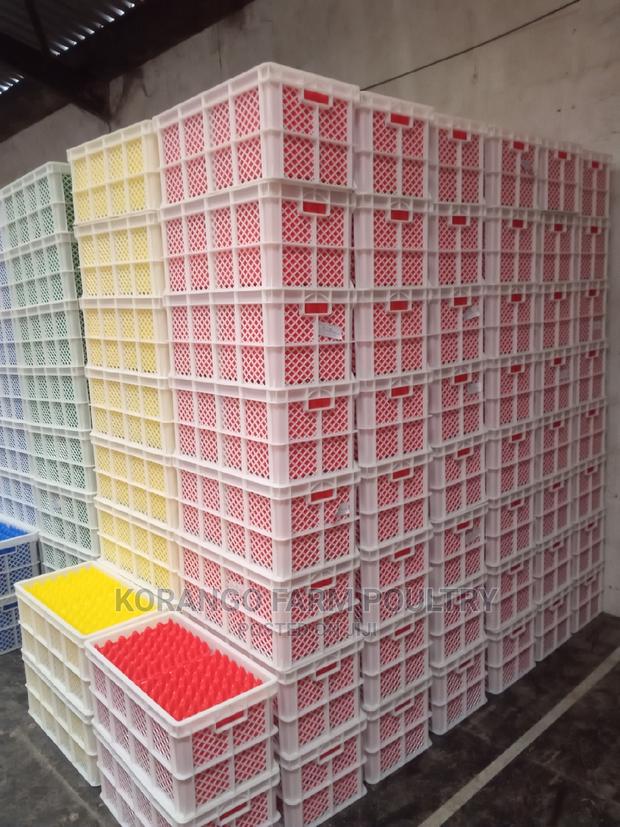 For Transportation Eggs - main view