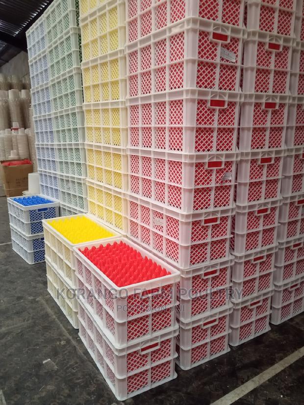 For Transportation Eggs - thumbnail 3