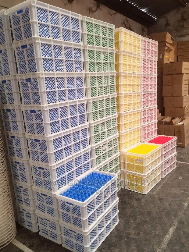 For Transportation Eggs - thumbnail 4