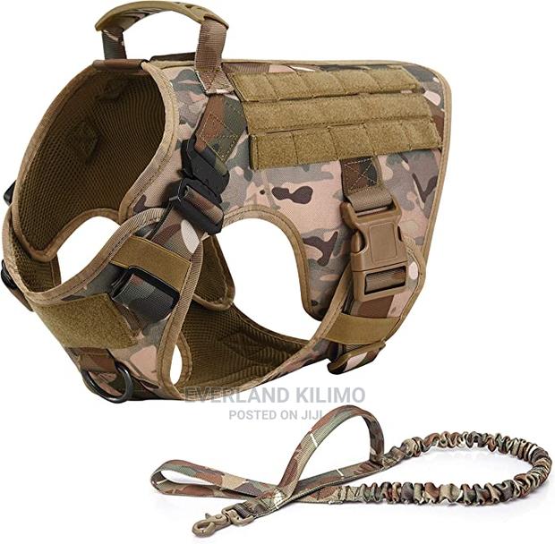Tactical Dog Harness and Leash Set - main view