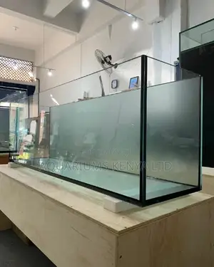 Tinted Back Aquariums, Custom Made Aquarium