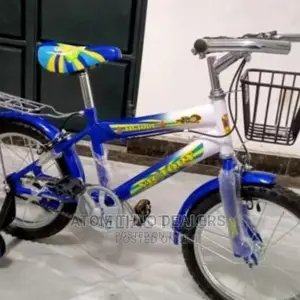 Bike Size 16