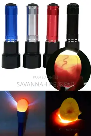 Professional Egg Candling Torch | Egg Candler for Testing