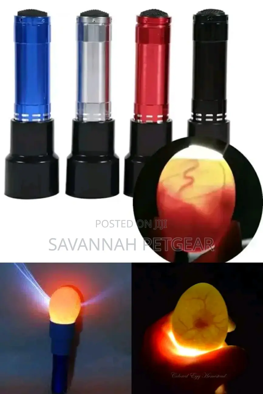 Professional Egg Candling Torch | Egg Candler for Testing