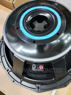 Ashly PD 1860 Bass Speaker