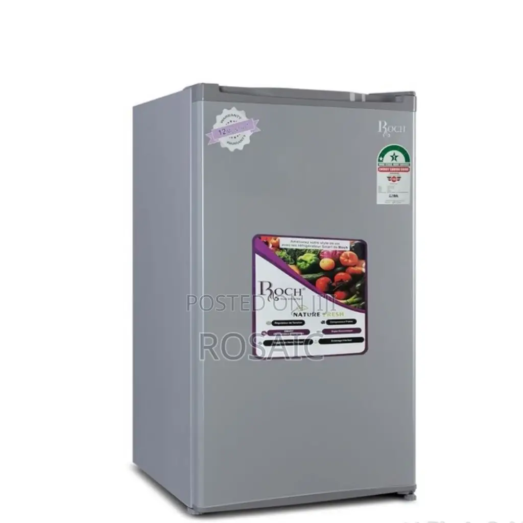 Roch Single Door Refrigerator - 90 Litres - Silver