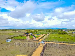 Serene Koma Plots‍
