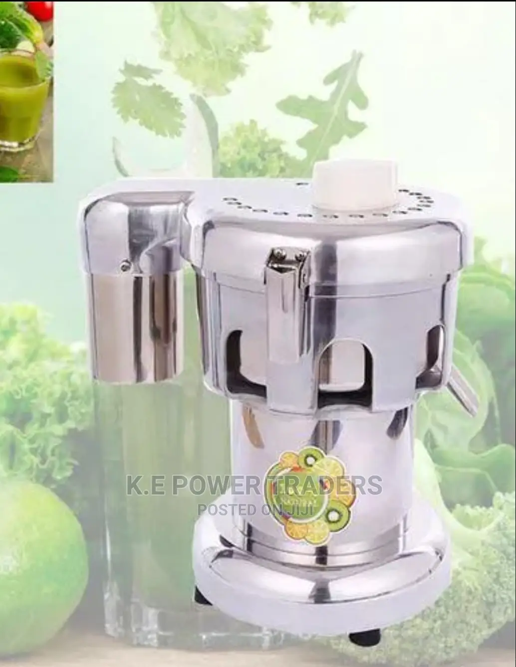 Electric Vegetable And Fruit Juicer