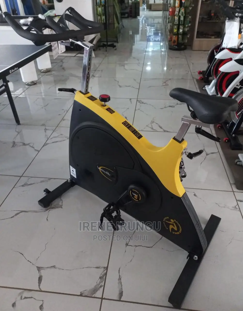 Commercial Upright Bike