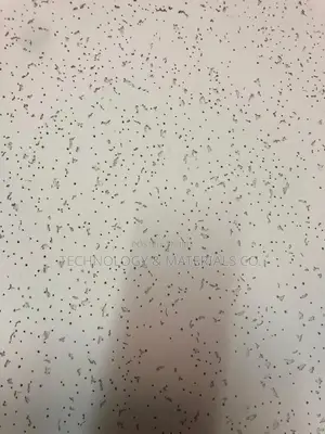 Acoustic Ceiling(60cm X 60cm X 13mm)