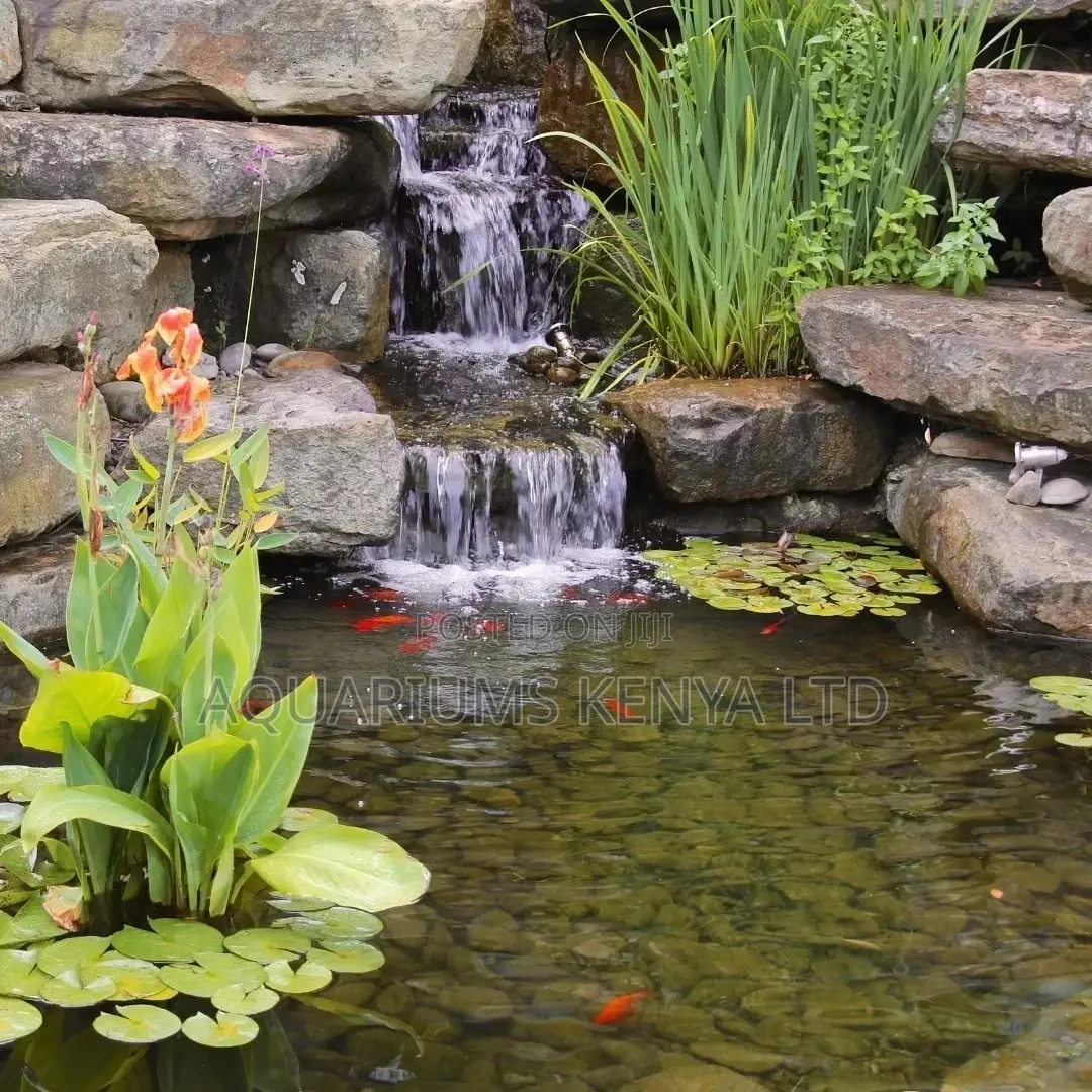 Fish Pond With Falling Waterfall