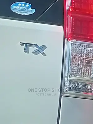 Car Fitted With TX Chrome Replacement Badge