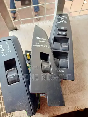 Fielder Set Door Switch