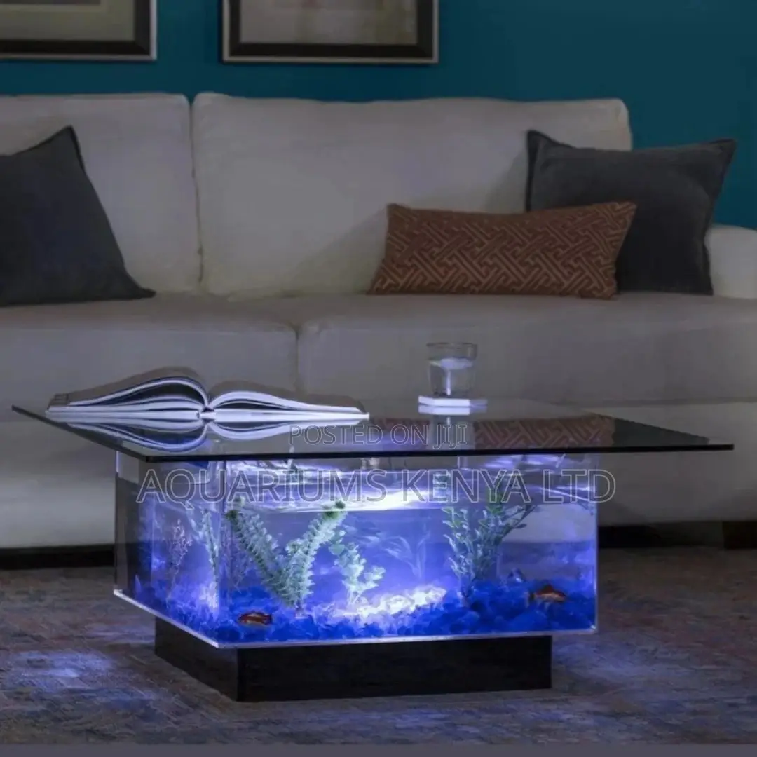 Change Delapidated Glass Table To Aquarium