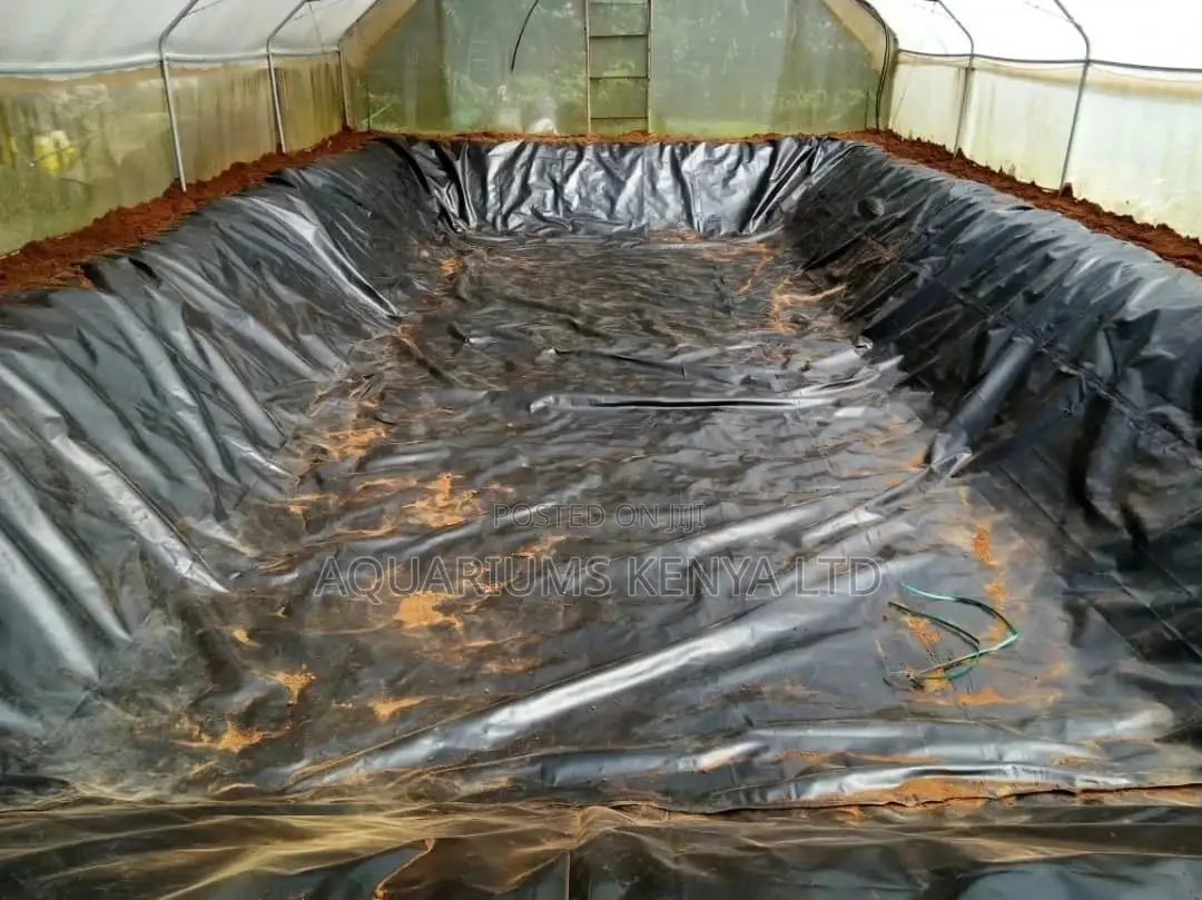 Pond Liner Fish Pond Building