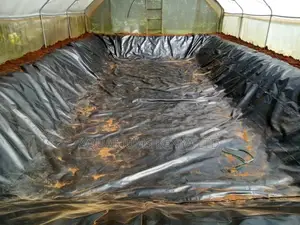 Pond Liner Fish Pond Building