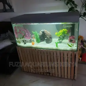 Aquarium Pallet Complete