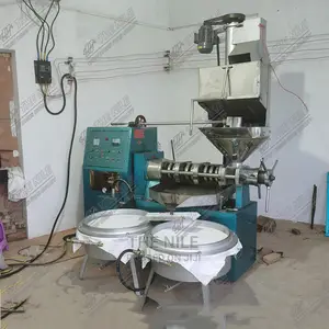 Commercial Soybean Walnut Oil Press