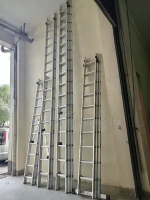 Aluminum Double Triple Extension Ladders