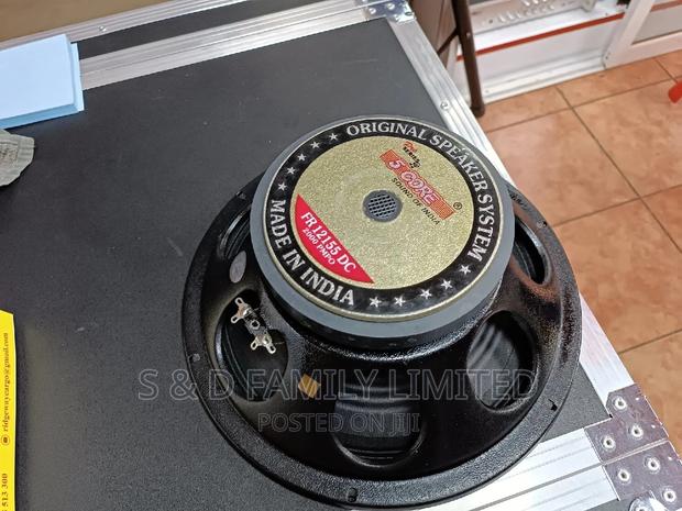 5 Core 12155 12 Inch Naked Speaker