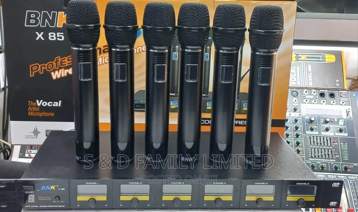 6 Wireless BNK Professional Wireless Microphone