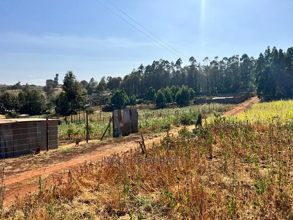 100 X 100ft Plot for Sale in Kikuyu, Ondiri.