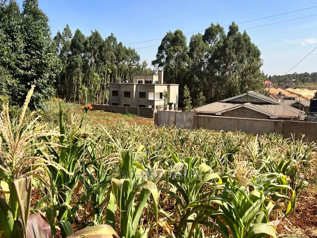100 X 100ft Plot for Sale in Kikuyu, Ondiri.