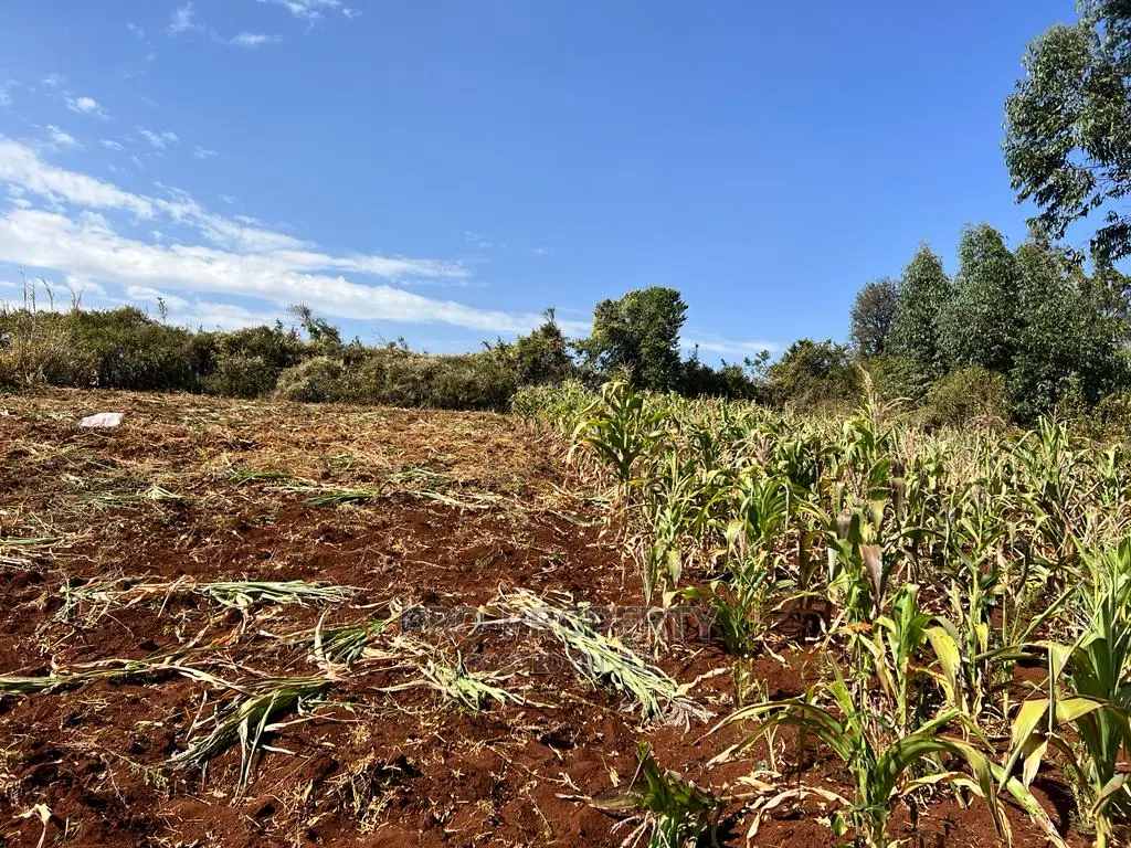 100 X 100ft Plot for Sale in Kikuyu, Ondiri.