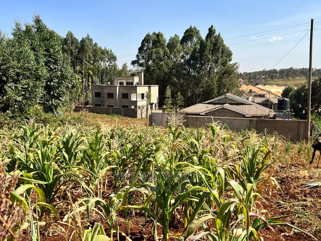 100 X 100ft Plot for Sale in Kikuyu, Ondiri.