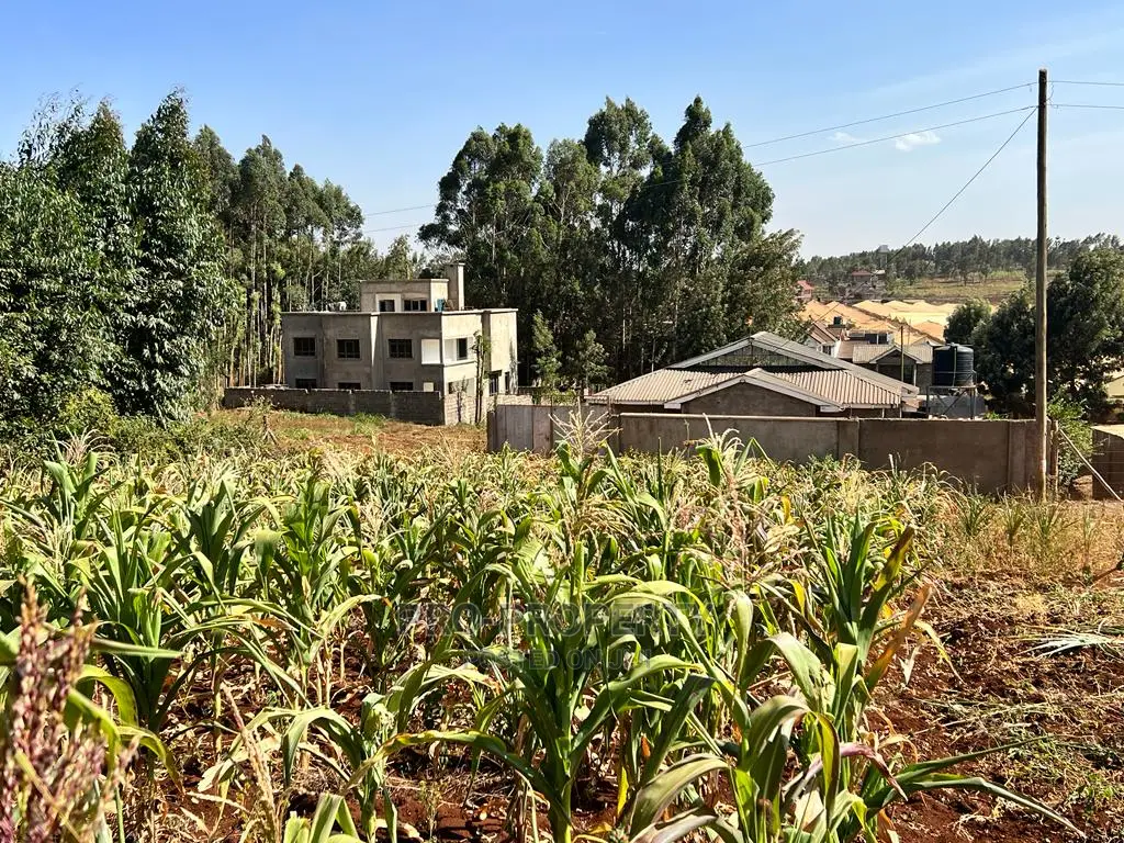 100 X 100ft Plot for Sale in Kikuyu, Ondiri.