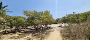 Creek Beach,Virgin Land on Sale in Mtwapa