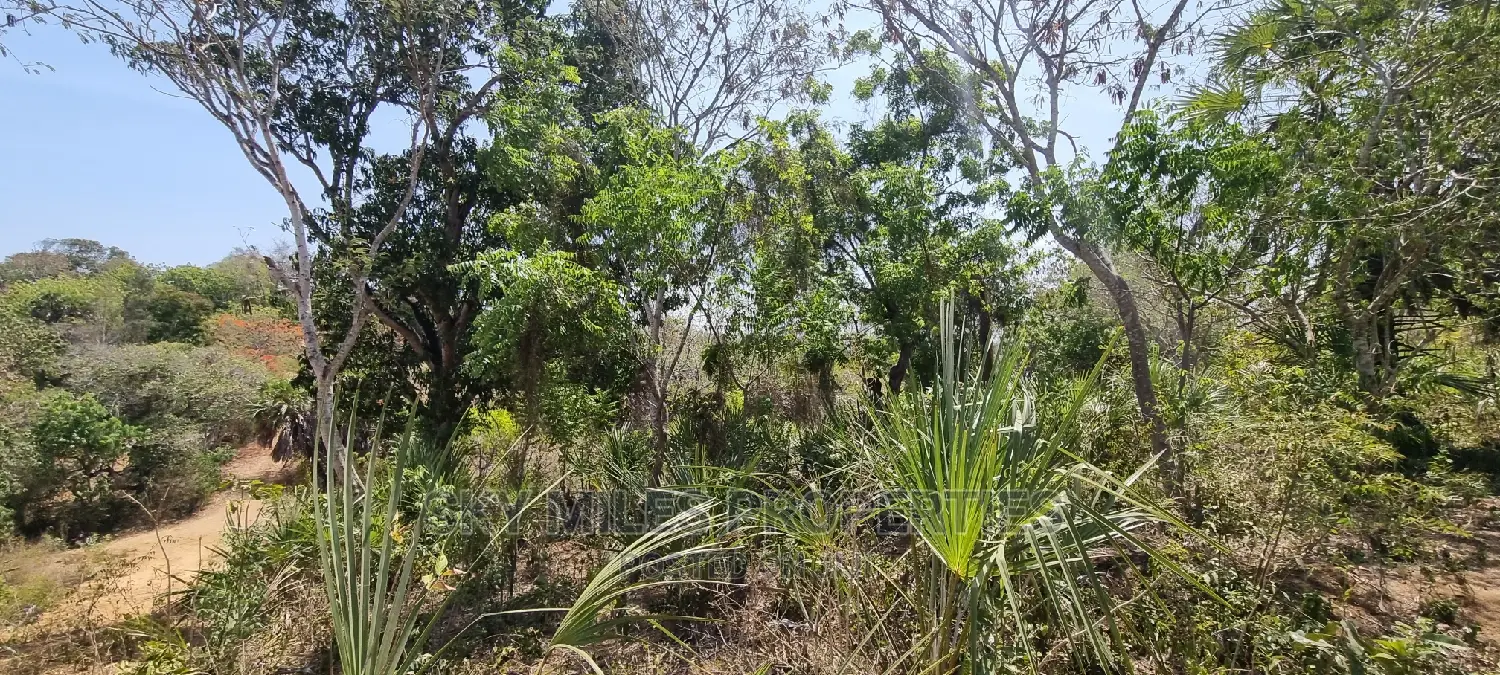 Creek Beach,Virgin Land on Sale in Mtwapa