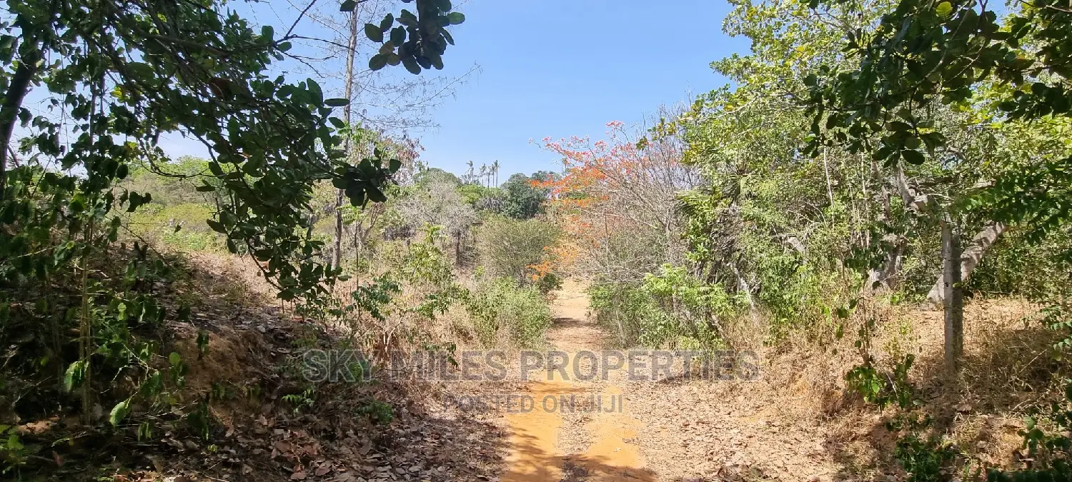 Creek Beach,Virgin Land on Sale in Mtwapa
