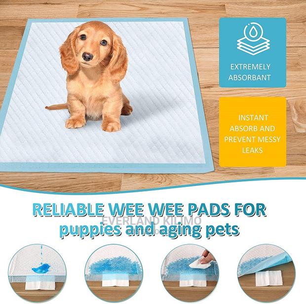Pet Pee Training Pads - thumbnail 4