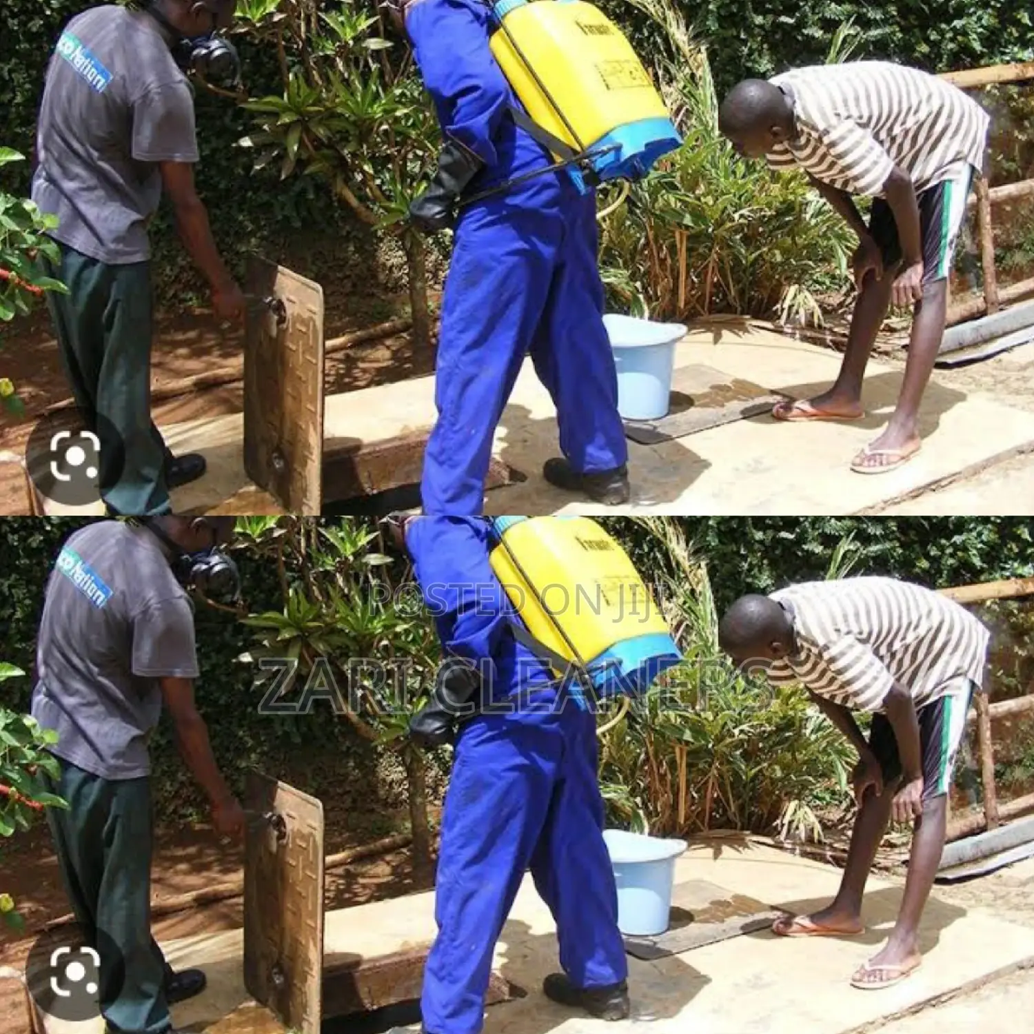 Fumigation and Disinfection Services In