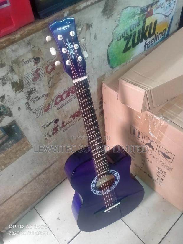 Violet Acoustic Guitar - main view