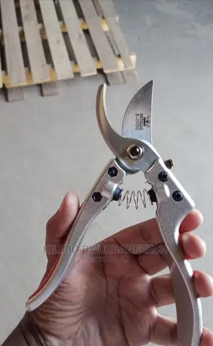 Secateurs : Prunners Cut and Hold Available.