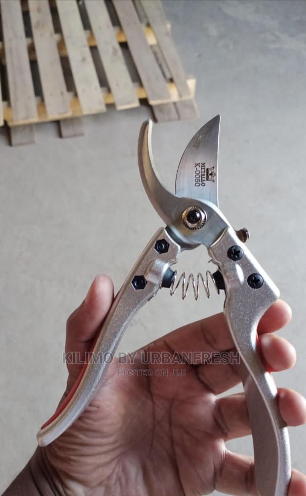 Secateurs : Prunners Cut and Hold Available. - thumbnail 2