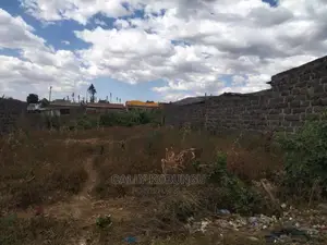 0.05 Kakamega Town Centre