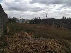 0.05 Kakamega Town Centre