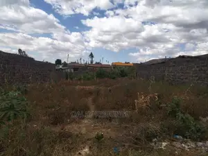 0.05 Kakamega Town Centre