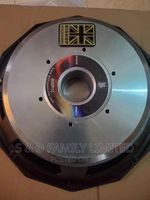 Bishop 15 Inch Naked Speaker