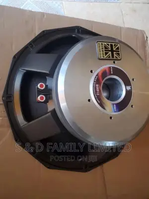 Bishop 15 Inch Naked Speaker