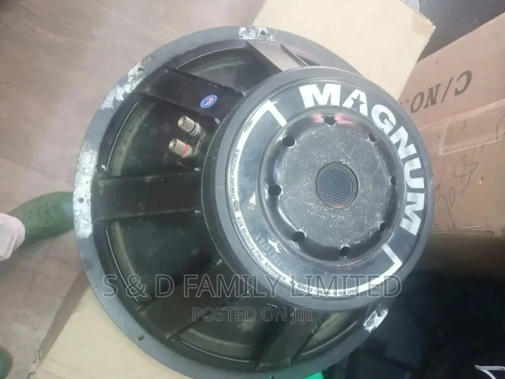 Magnum 18 Inch Bass Speaker Ex-Uk