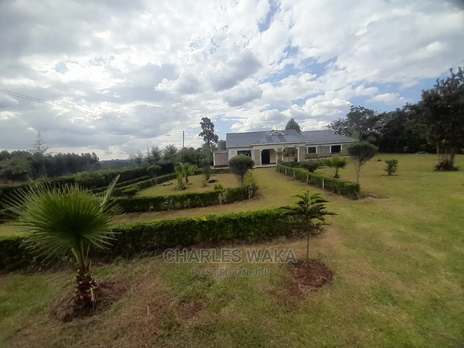Exterior Designs and Interior Plants Scaping