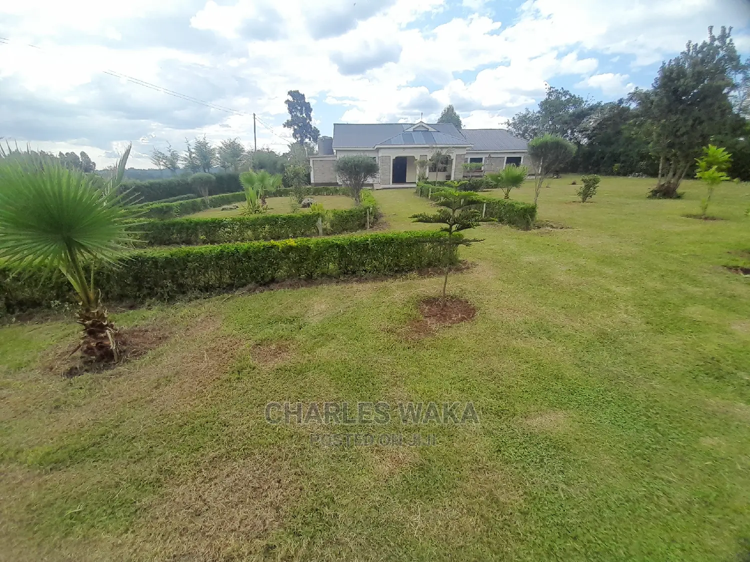 Exterior Designs and Interior Plants Scaping