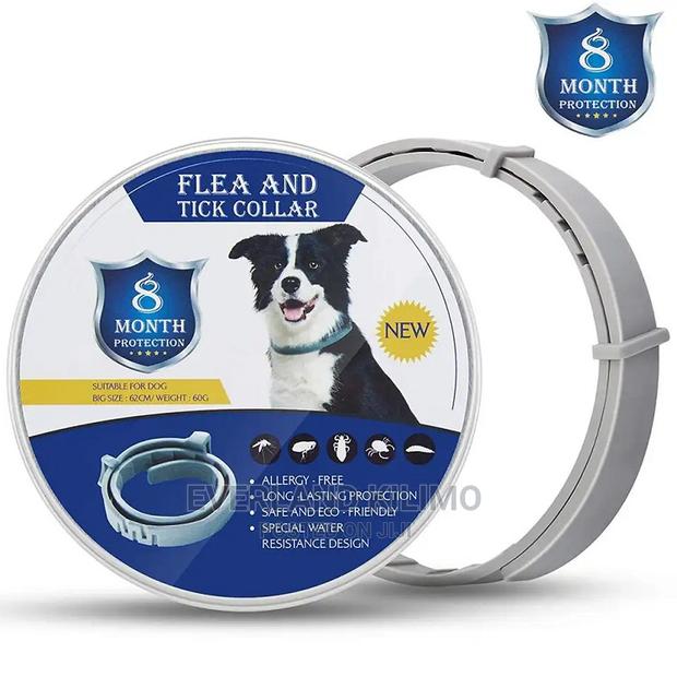 Premium Flea Collar for Dogs and Cats - main view