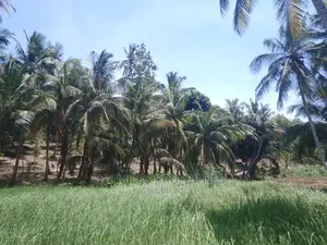 90 Acre Land on Sale,Vipingo