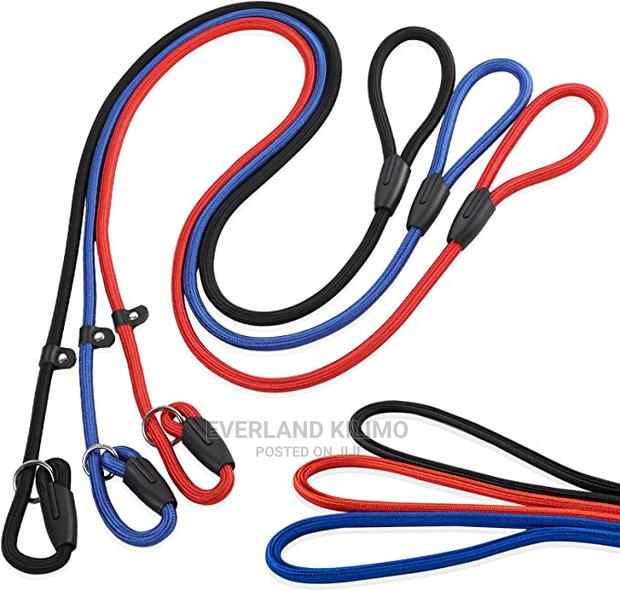 Dog Training Leash- Small - main view